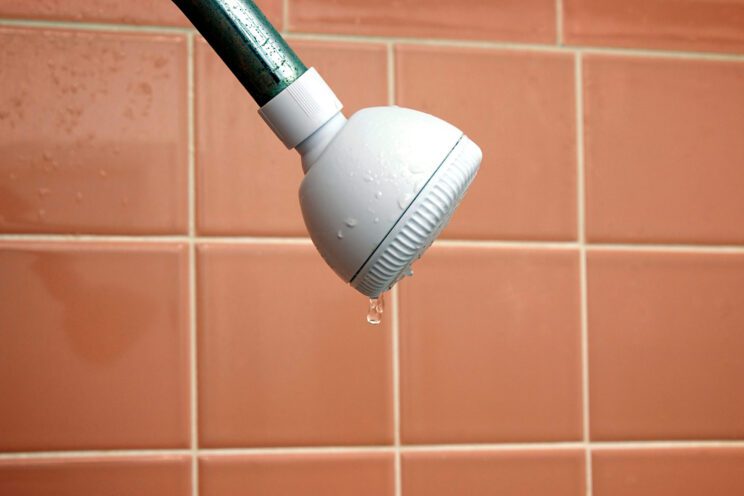 leaking shower head
