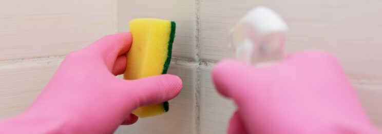 shower tile and grout cleaning