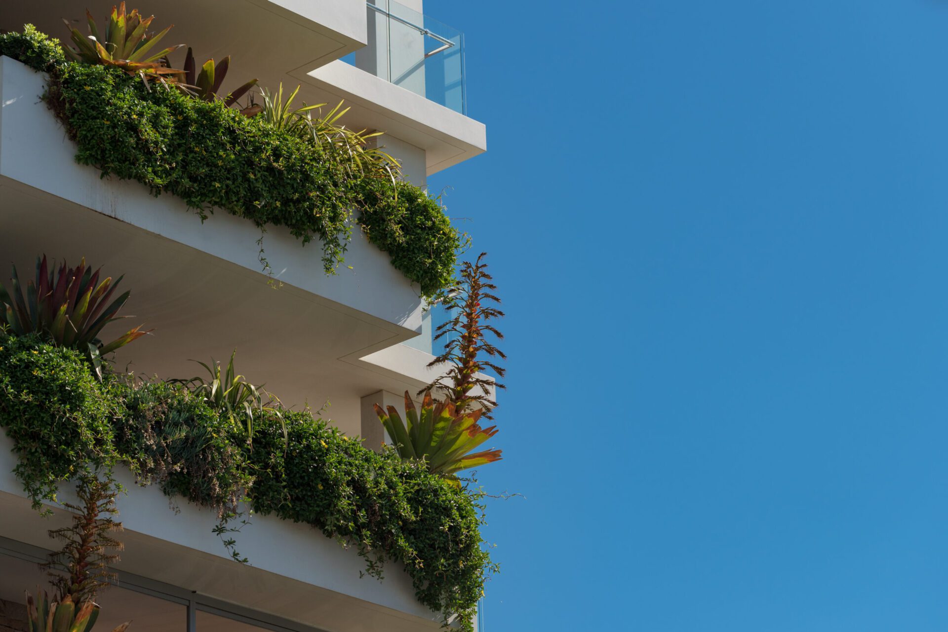leaking balcony repair service in Sydney