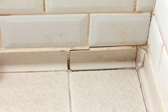 megaseaeld missing grout