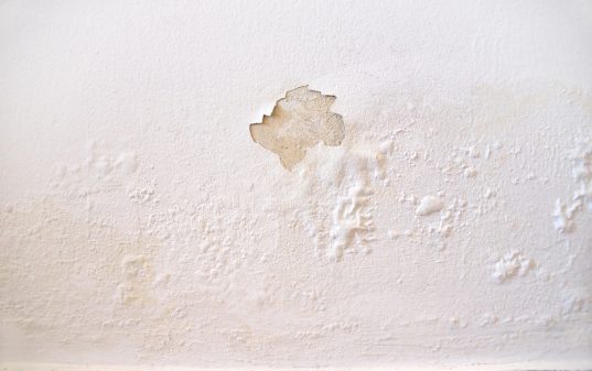 megasealed peeling bubbling paint