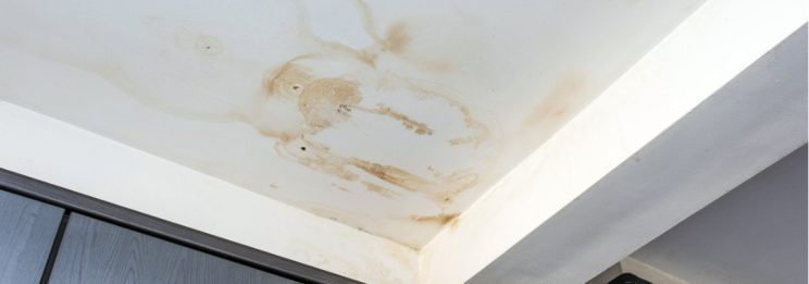 water stains on ceiling from leaking shower