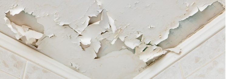 ceiling plaster swelling and cracking due to leak