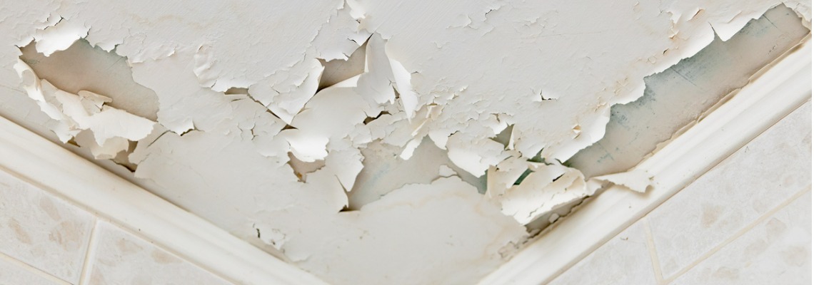 ceiling plaster swelling and cracking due to leak