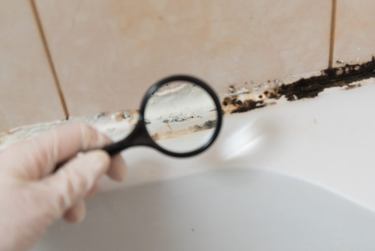 magnifying glass held against black mould infestation in a bathroom