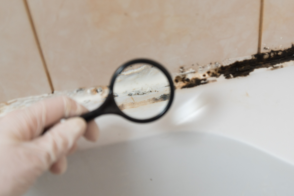 magnifying glass held against black mould infestation in a bathroom